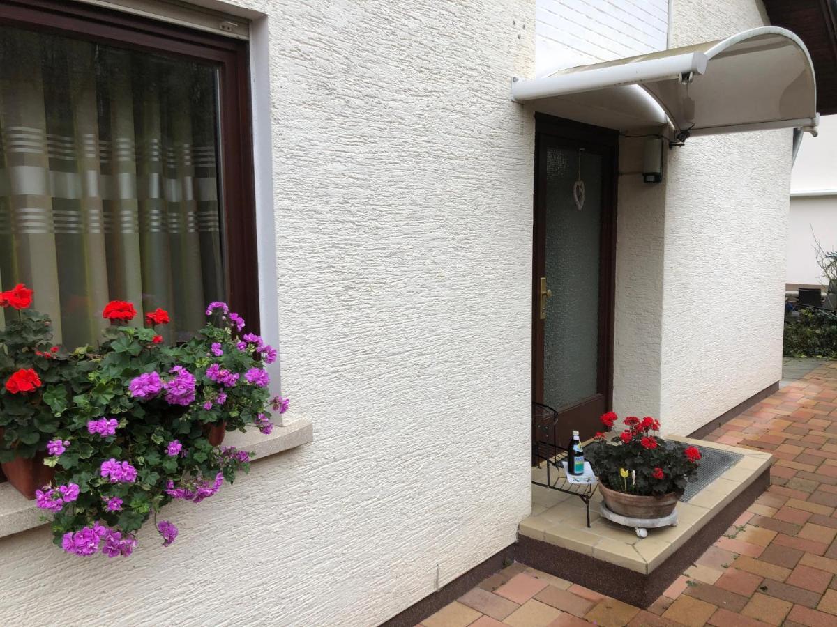 Ferienwohnung Heidelberg Ze-2020-7-Wz Eksteriør billede
